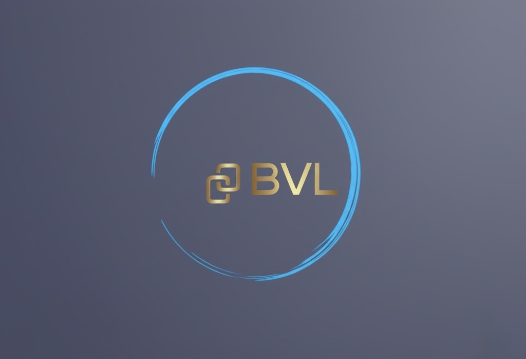 Business Venture Link (BVL) logo